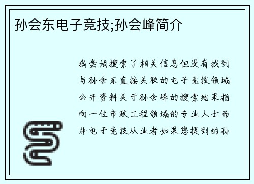 孙会东电子竞技;孙会峰简介
